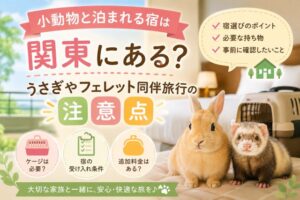 小動物と泊まれる宿は関東にある？うさぎやフェレット同伴旅行の注意点